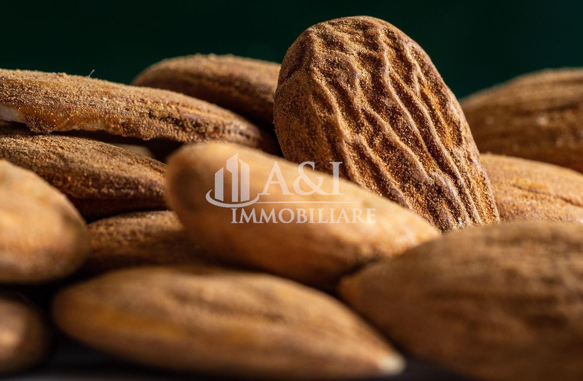 Alimentari con laboratorio in vendita a Cernusco Lombardone